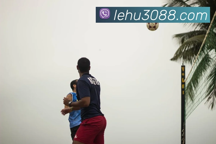 登录器